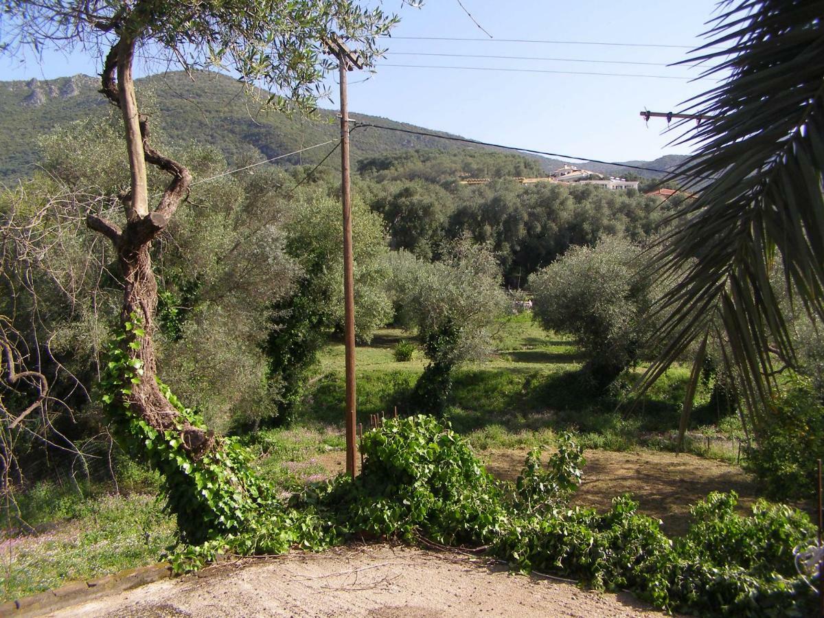 Milos Studios Parga Luaran gambar